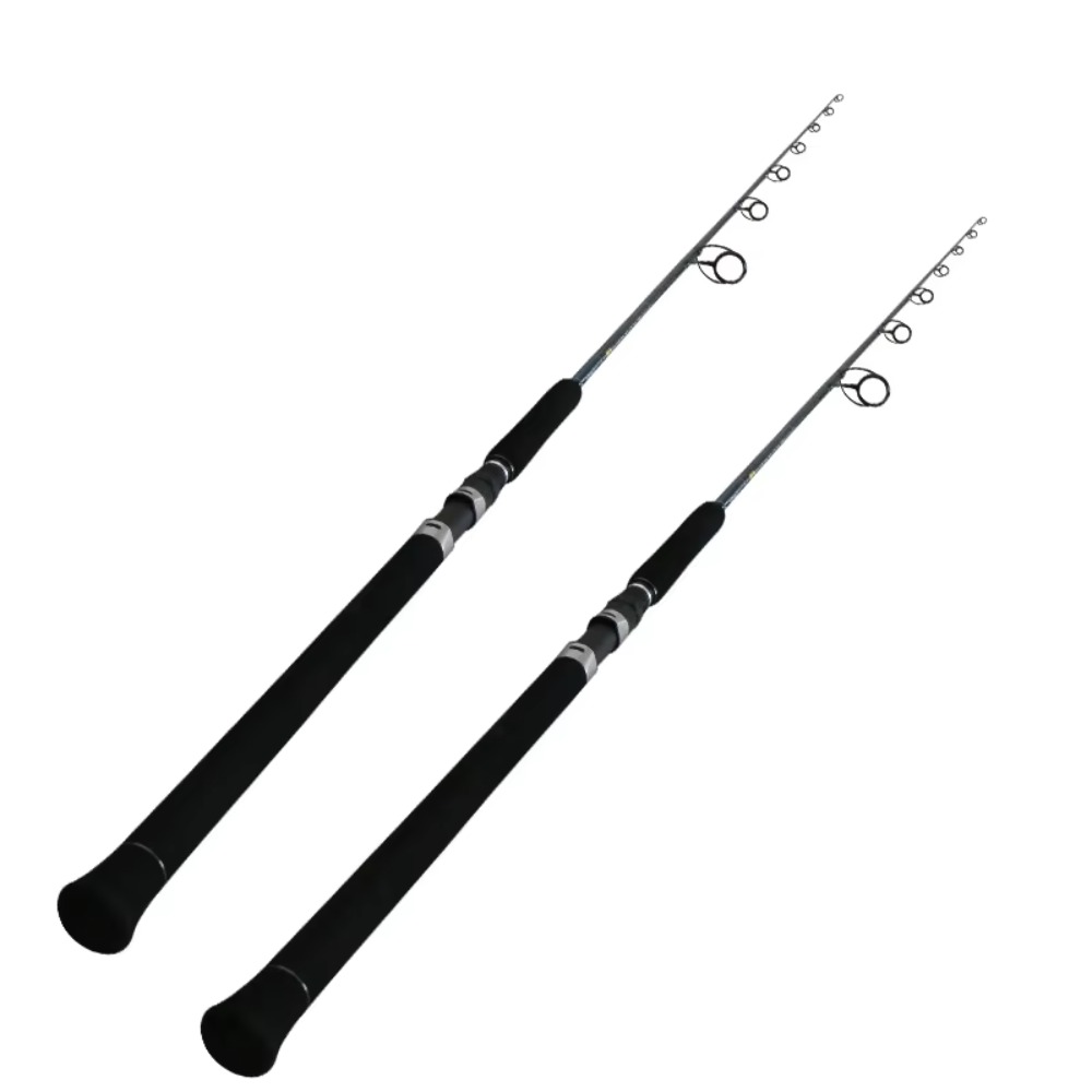 Fishing Rod Spinning - Nouvelle conception, canne à pêche FUJI