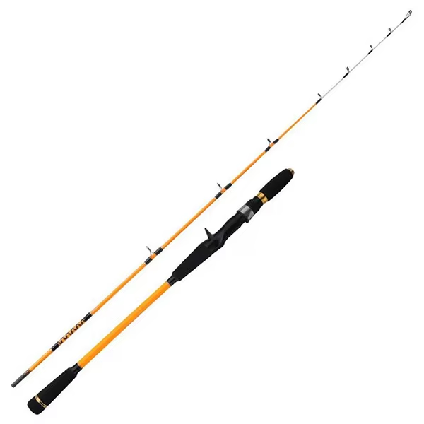 Fishing Rod Surf - Canne à pêche spinning en mer