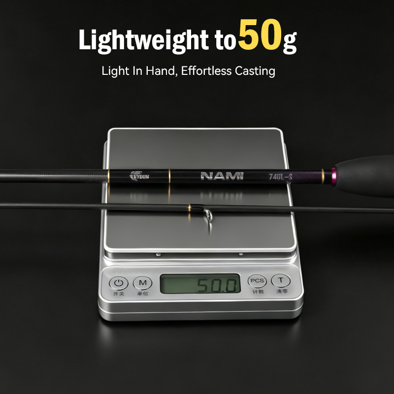 LEYDUN NAMI Canne à pêche spin - Fishing Rod Guide Replacement avis et prix